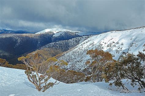 Victorian Alps 